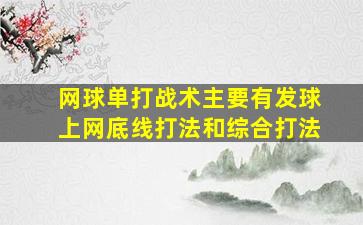 网球单打战术主要有发球上网底线打法和综合打法