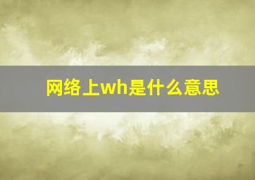 网络上wh是什么意思