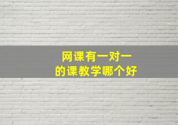 网课有一对一的课教学哪个好