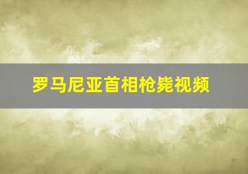 罗马尼亚首相枪毙视频