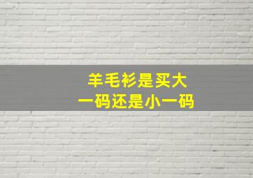 羊毛衫是买大一码还是小一码