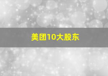 美团10大股东