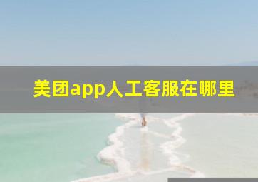 美团app人工客服在哪里