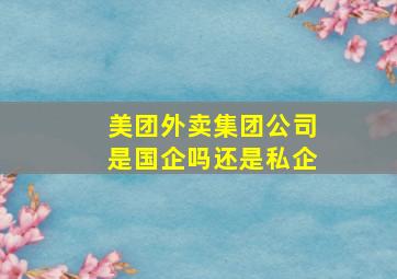 美团外卖集团公司是国企吗还是私企