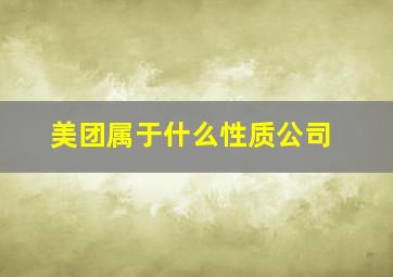 美团属于什么性质公司