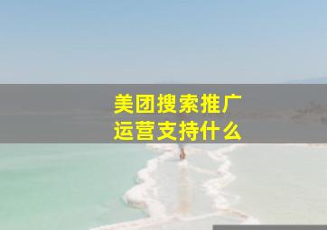 美团搜索推广运营支持什么