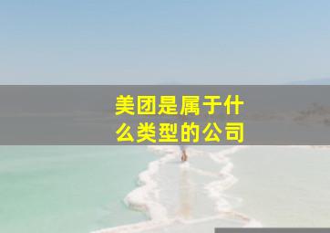 美团是属于什么类型的公司