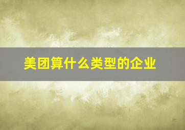 美团算什么类型的企业