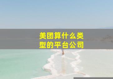 美团算什么类型的平台公司