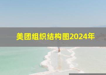 美团组织结构图2024年