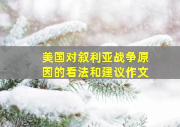 美国对叙利亚战争原因的看法和建议作文