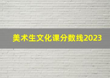 美术生文化课分数线2023