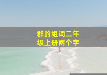 群的组词二年级上册两个字