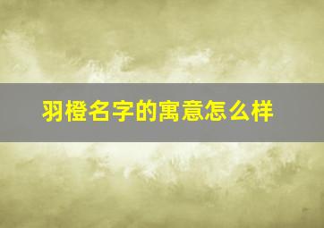 羽橙名字的寓意怎么样