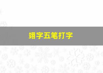 翊字五笔打字