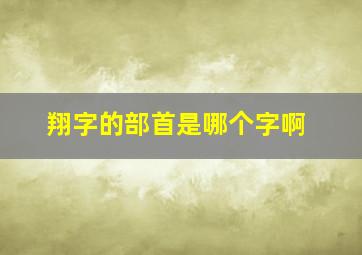 翔字的部首是哪个字啊