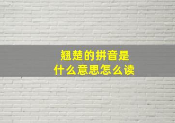 翘楚的拼音是什么意思怎么读