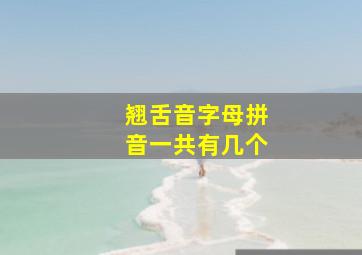 翘舌音字母拼音一共有几个