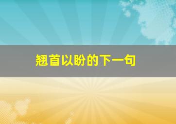 翘首以盼的下一句