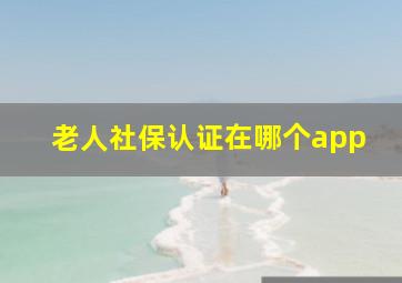 老人社保认证在哪个app