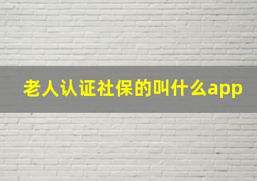 老人认证社保的叫什么app