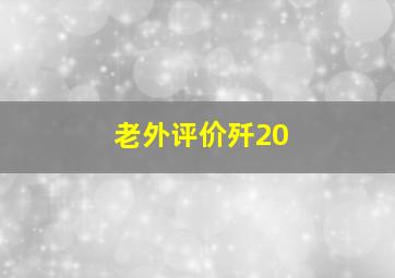 老外评价歼20