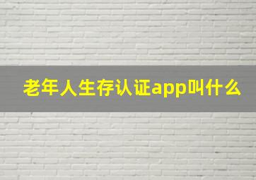 老年人生存认证app叫什么