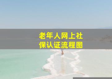 老年人网上社保认证流程图