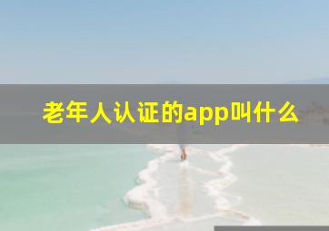 老年人认证的app叫什么