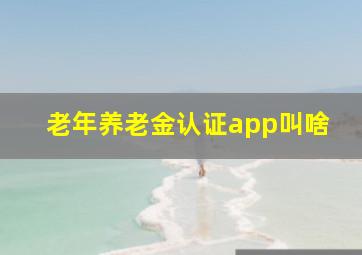 老年养老金认证app叫啥