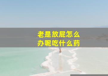 老是放屁怎么办呢吃什么药