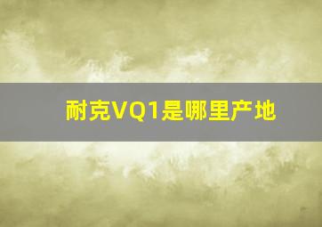 耐克VQ1是哪里产地