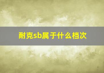 耐克sb属于什么档次