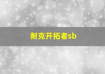 耐克开拓者sb