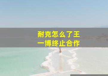 耐克怎么了王一博终止合作