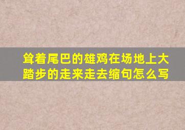 耸着尾巴的雄鸡在场地上大踏步的走来走去缩句怎么写