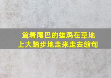 耸着尾巴的雄鸡在草地上大踏步地走来走去缩句