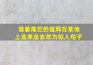 耸着尾巴的雄鸡在草地上走来走去改为拟人句子