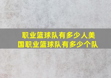 职业篮球队有多少人美国职业篮球队有多少个队