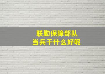 联勤保障部队当兵干什么好呢