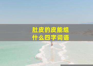 肚皮的皮能组什么四字词语