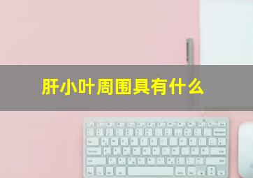 肝小叶周围具有什么