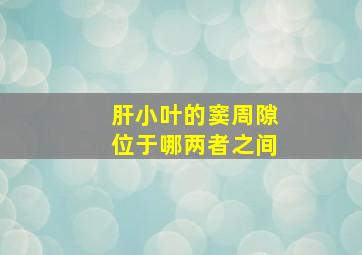 肝小叶的窦周隙位于哪两者之间