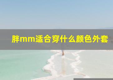 胖mm适合穿什么颜色外套