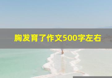 胸发育了作文500字左右