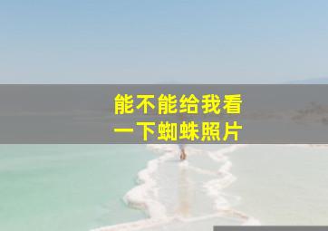 能不能给我看一下蜘蛛照片