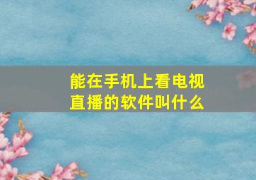 能在手机上看电视直播的软件叫什么