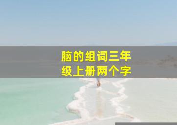 脑的组词三年级上册两个字