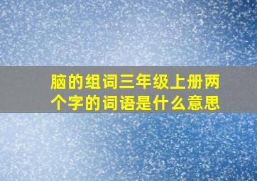 脑的组词三年级上册两个字的词语是什么意思