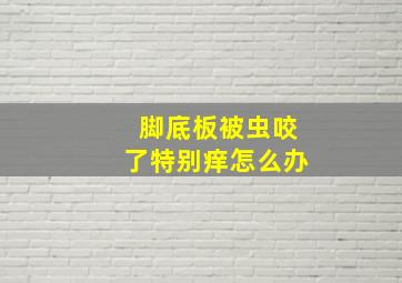 脚底板被虫咬了特别痒怎么办